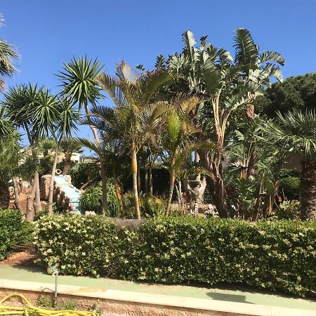 Le Palme Tropicali Apartman San Vito Lo Capo Kültér fotó
